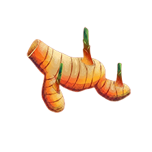 Lengkuas