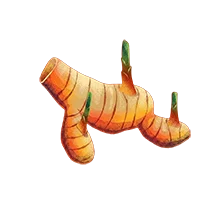 Lengkuas